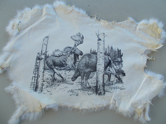Real nice, printed fighting moose print on white rabbit fur measures 16" x 11"