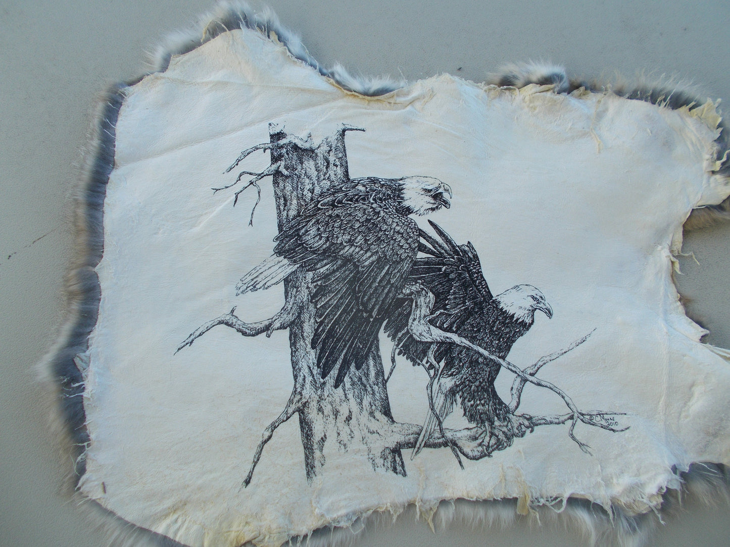 Real nice, printed eagle print on brownish grey rabbit fur measures 16" x 12"