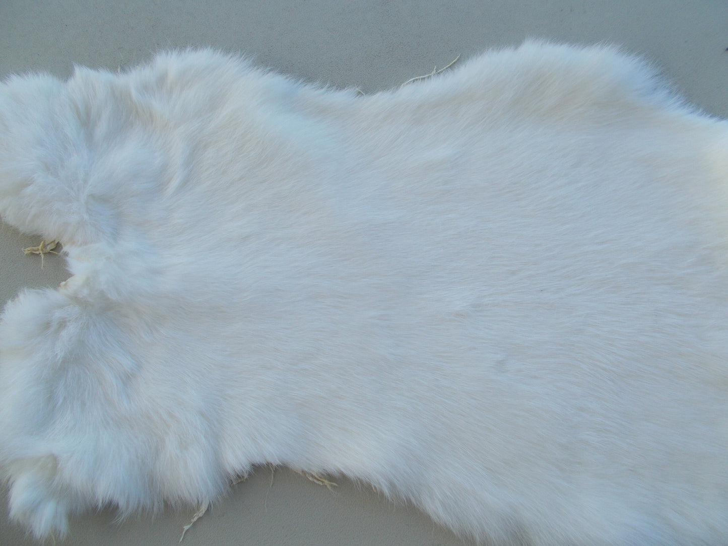 Real nice, printed running horses print on white rabbit fur measures 18" x 11"