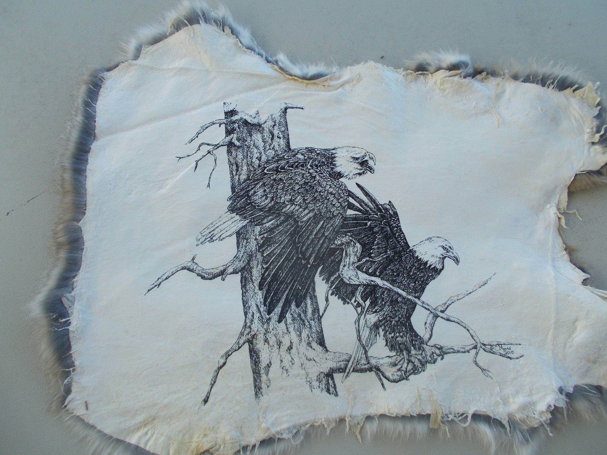 Real nice, printed eagle print on brownish grey rabbit fur measures 16" x 12"