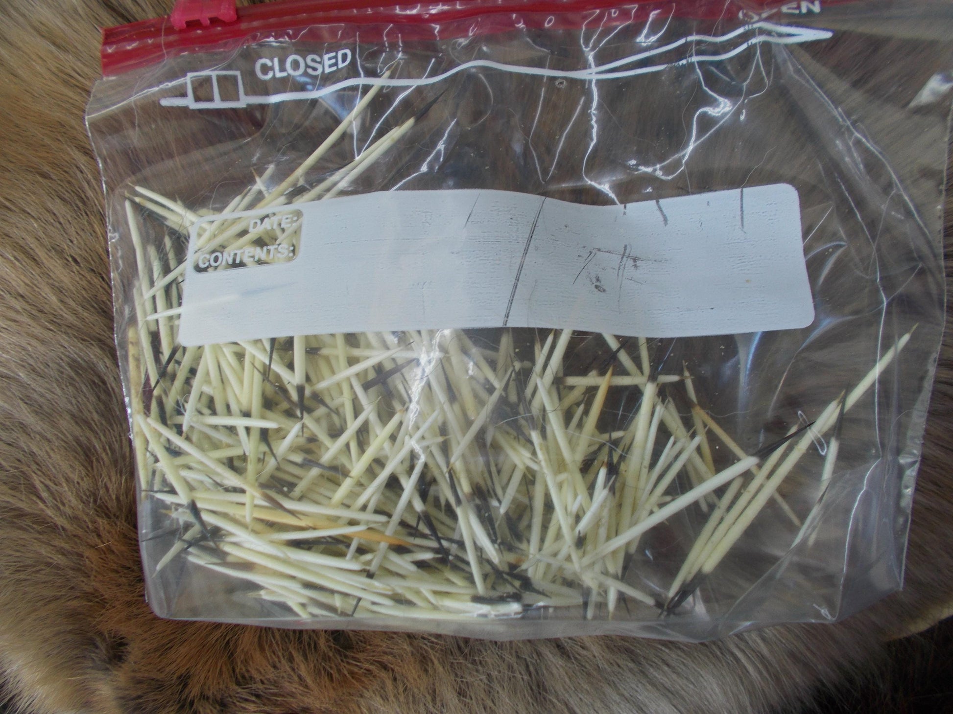 these are very nice jewelry quills they are real nice thick ones that measure around 2" these are washed and are super clean